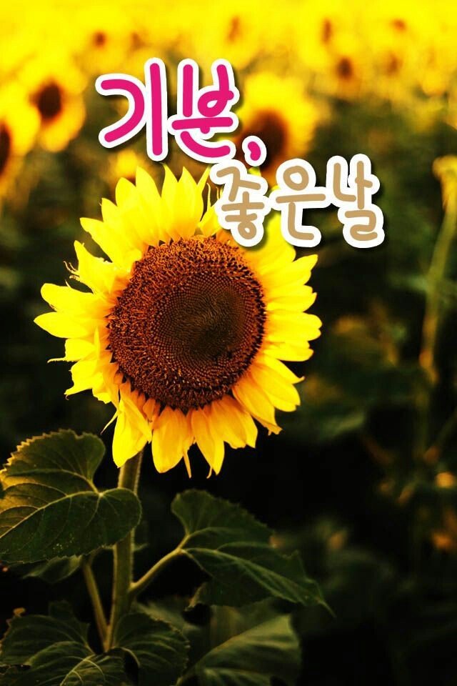 미락한식뷔페 이미지