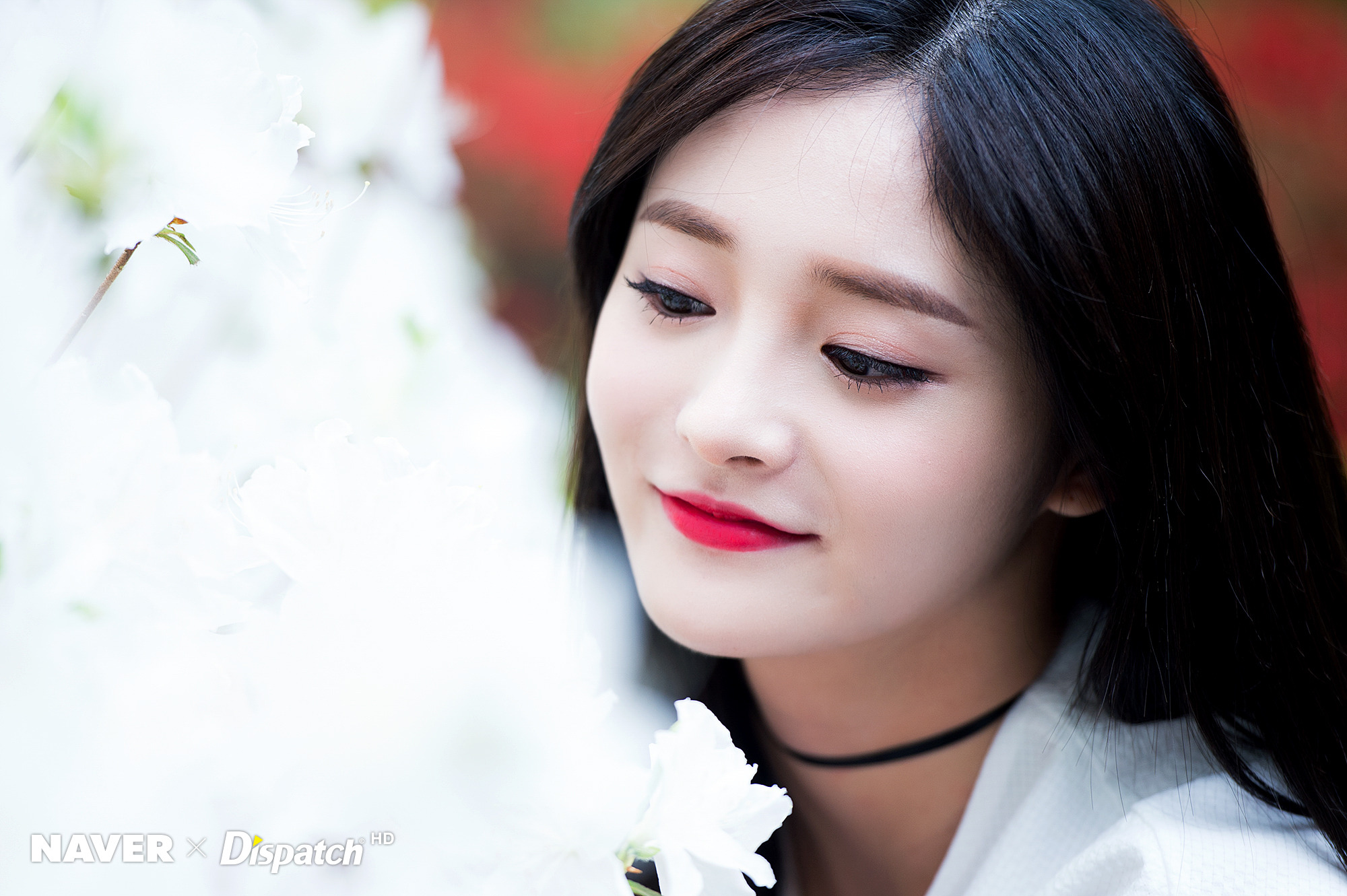 [데이터주의] 프리스틴 주예보스 주결경 hd포토 | 인스티즈