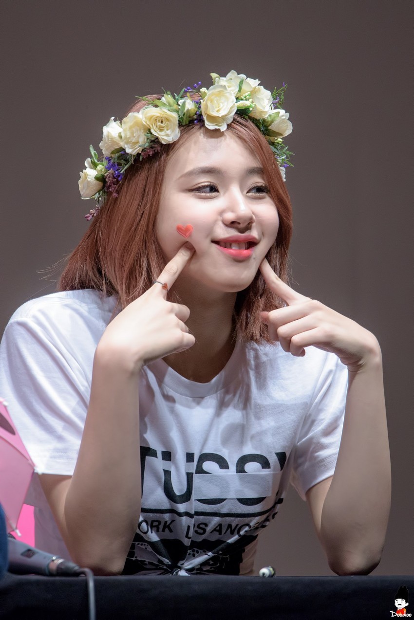 [트와이스] 아기맹수 채영이 짤 모음.gif | 인스티즈