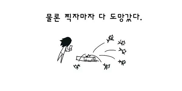 고양이 여덟마리와 사는만화 | 인스티즈