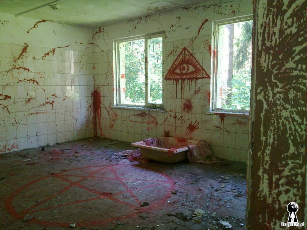  정체를 알 수 없는 사진들 | 인스티즈