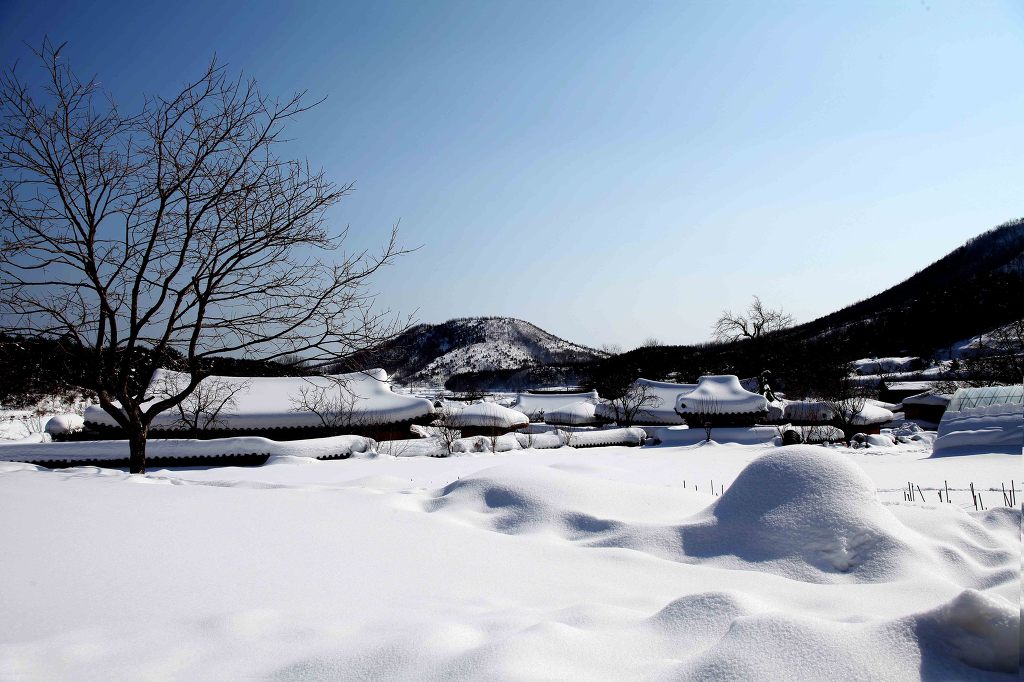 한찬우 이미지