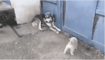 무고죄 레전드.gif | 인스티즈