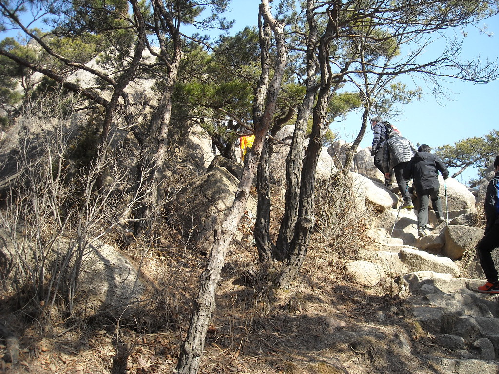 인천수산업협동조합 이미지