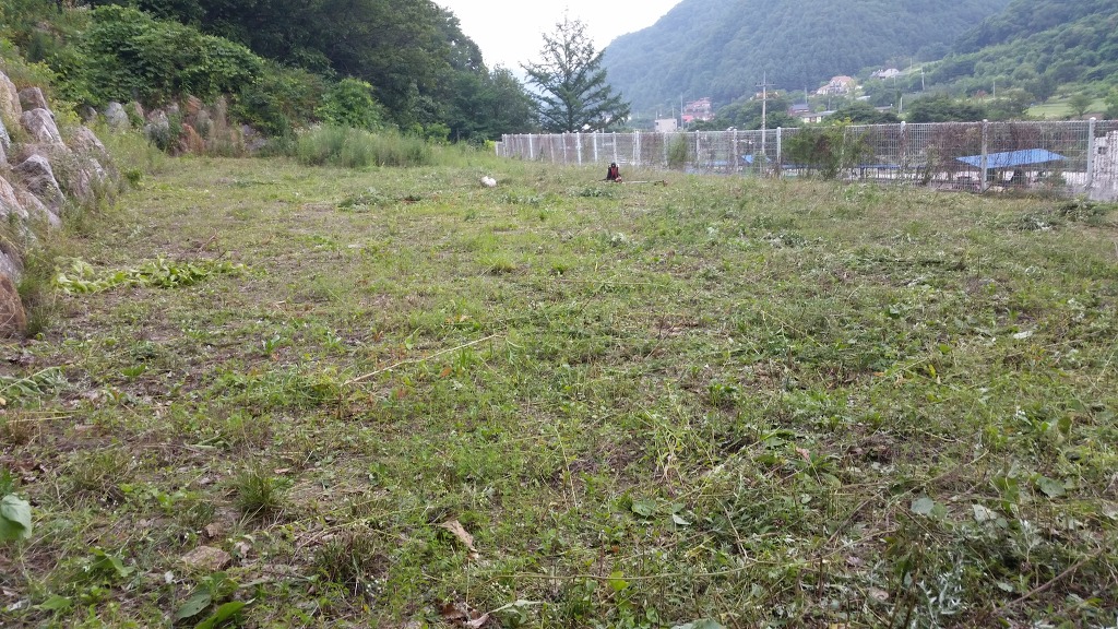 가평전원별장펜션 이미지