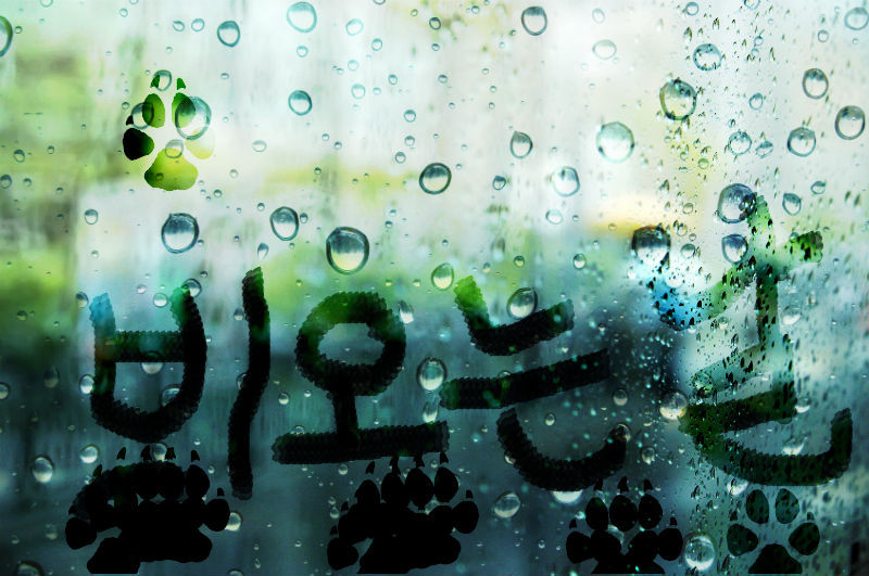 리포토샵 이미지