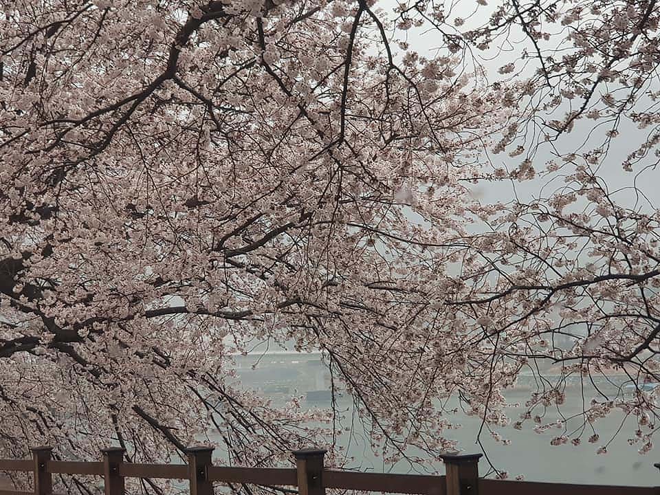 섬진주유소 이미지