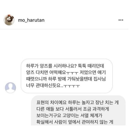잉스타 유명고양이집사들이 받는 DM | 인스티즈