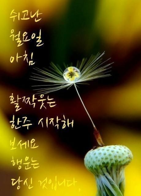 (주) 케이누리 이미지