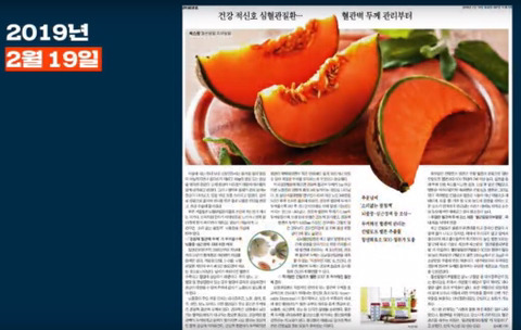 신문사가 돈을 버는 방법(조선일보,자한당) | 인스티즈