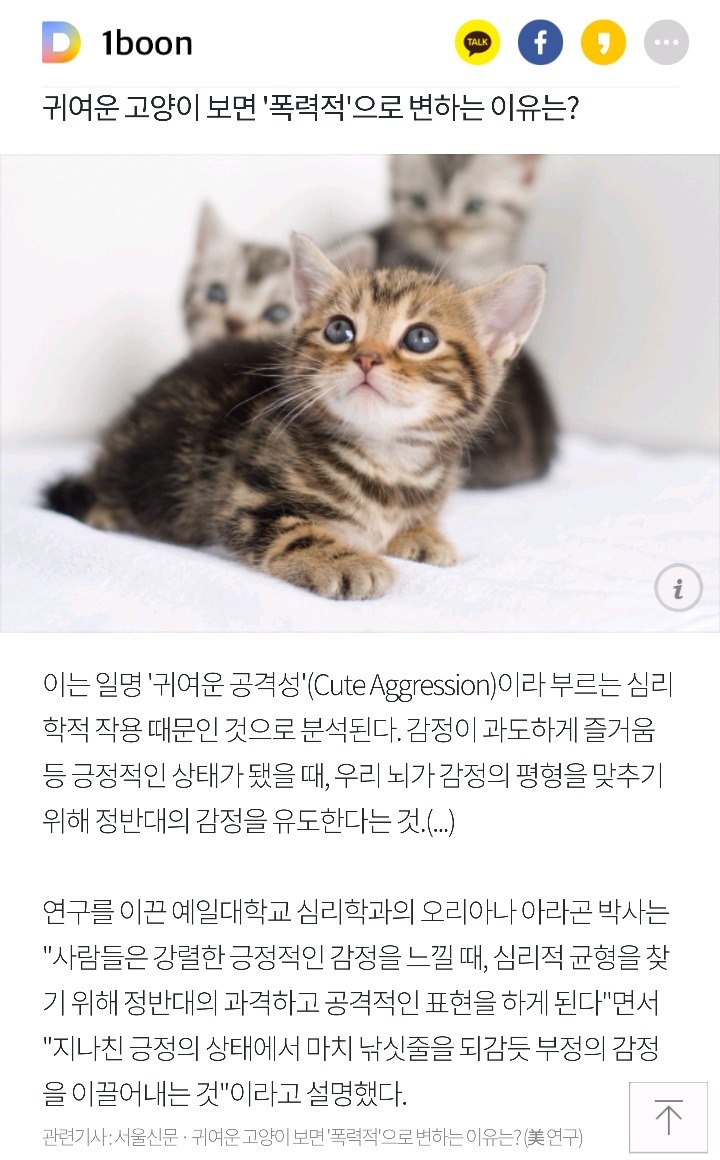귀여운 걸 보면 아파트 뽑고 싶다고 말하는 이유 | 인스티즈
