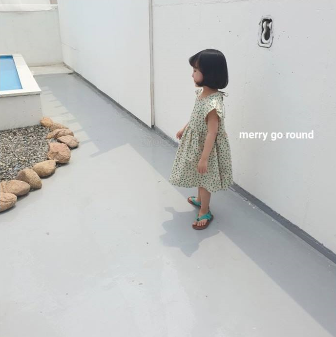 콩콩 이미지