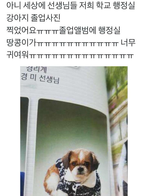 댕댕이 졸업사진 | 인스티즈