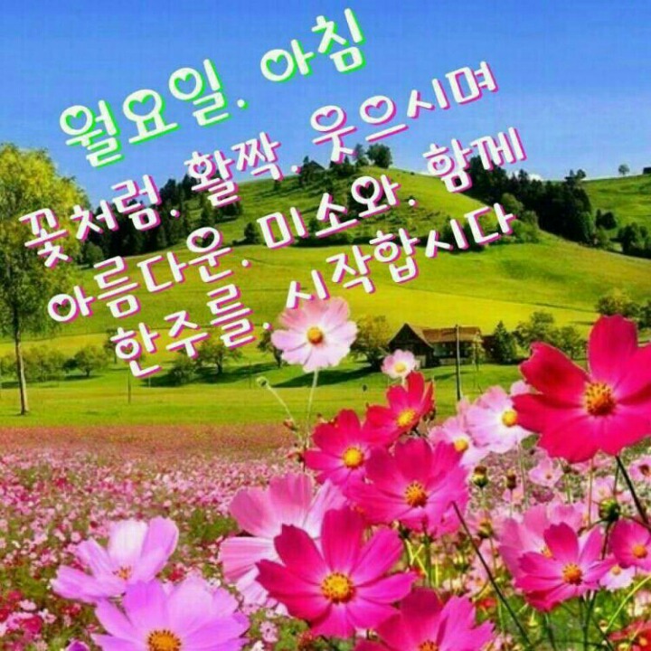 세로운 이미지