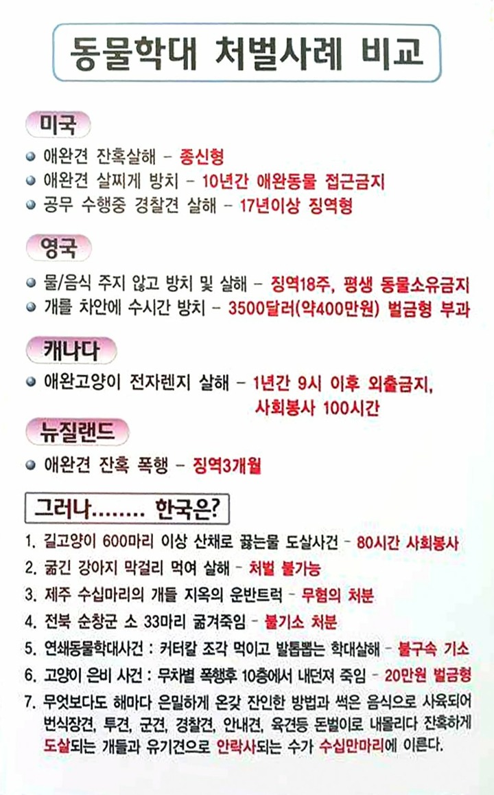 동물학대처벌 강화 청원!! 한번씩만 해주라! | 인스티즈
