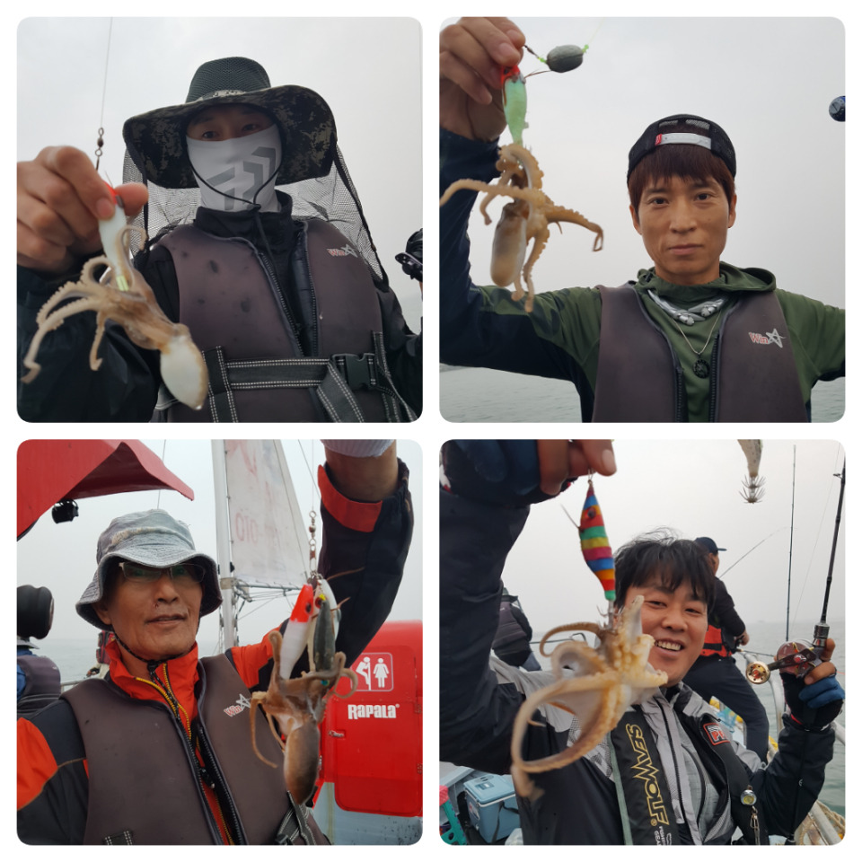 쭈꾸미가 이미지