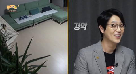 고양이가 아니라 인형을 키우는듯한 집 .jpg | 인스티즈
