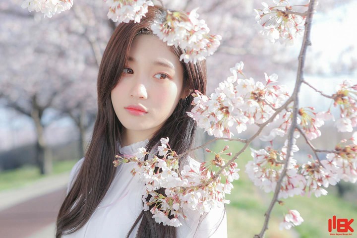 다이아 정채연 미모 | 인스티즈