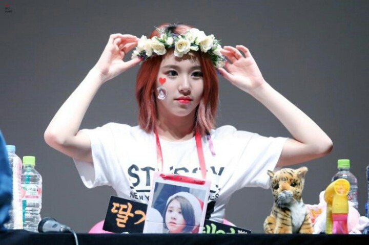 트와이스 손채영 | 인스티즈