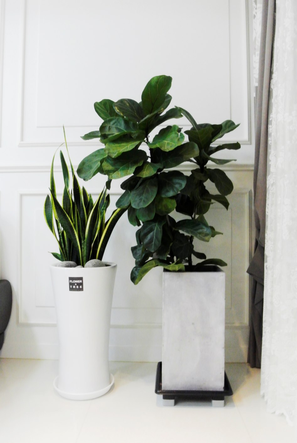 30대 빚없이 장만한 50평대 아파트 입니다 | 인스티즈