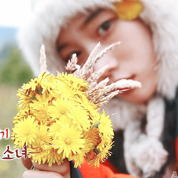 정글의법칙 정채연.gif | 인스티즈