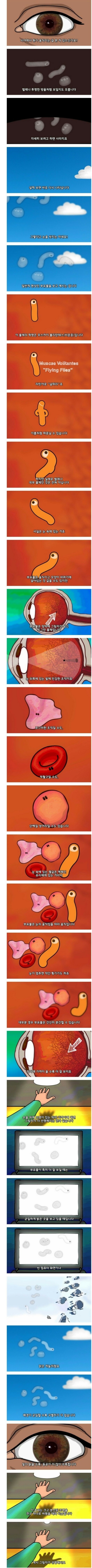 가끔 눈에 보이는 이상한것.jpg | 인스티즈