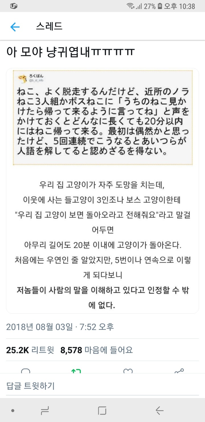 고양이 이웃이 부탁을 잘 들어주는 편.twt | 인스티즈