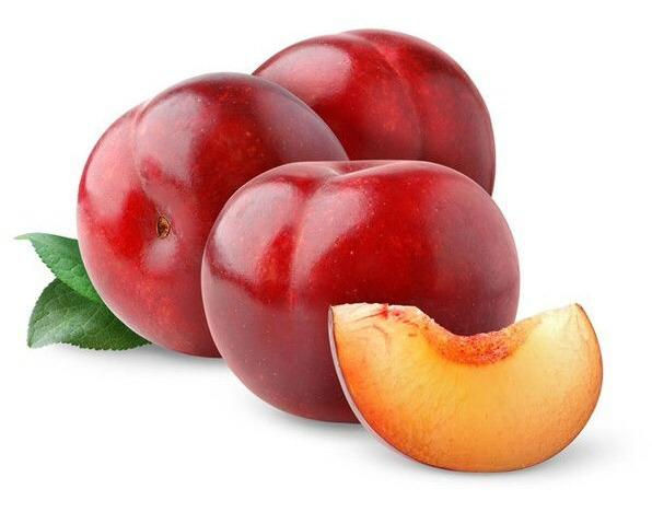 자신의 최애 과일은? | 인스티즈