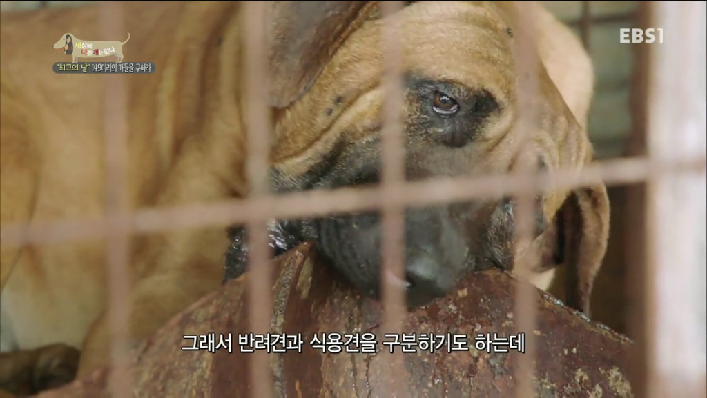 어떻게 그럴 수가 있을까요? 어떻게 사람을 그렇게 좋아할 수 있죠? | 인스티즈