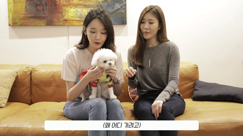 다비치 추석인사. jpgif | 인스티즈