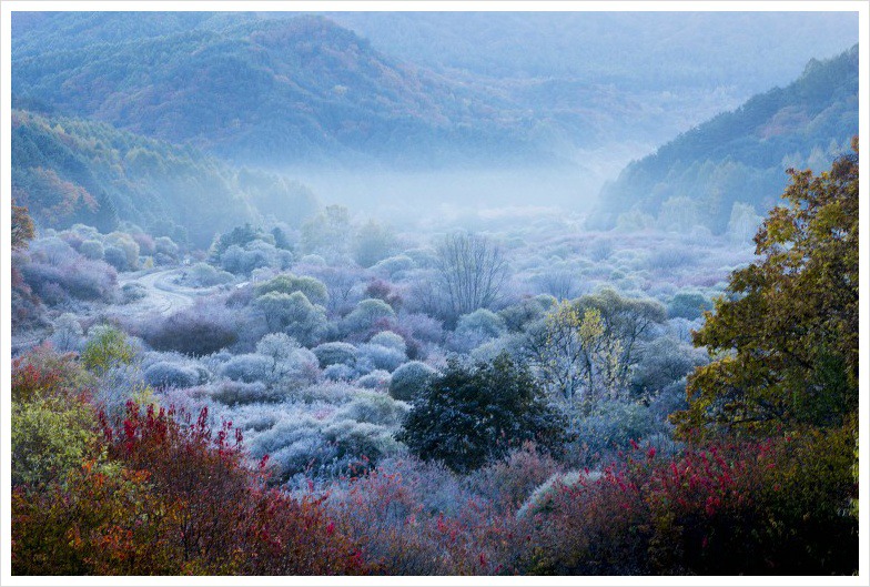 비밀의화원 이미지