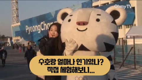 수호랑 인기를 직접 겪어본 오마이뉴스기자 | 인스티즈
