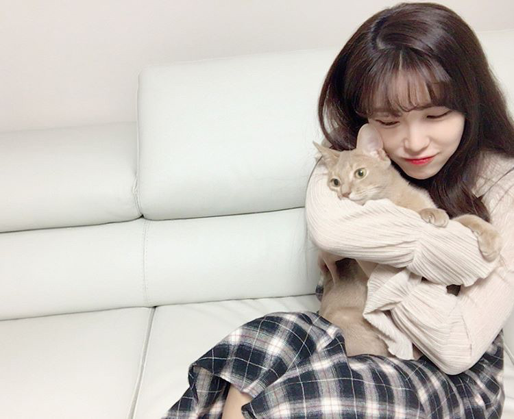 오늘자 고양이 생일파티 해준 전효성 ㅋㅋㅋㅋㅋㅋㅋㅋㅋ | 인스티즈