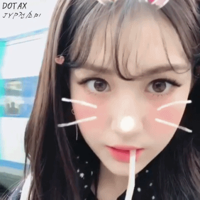 개가 길가다 멈추는 이유.GIF | 인스티즈