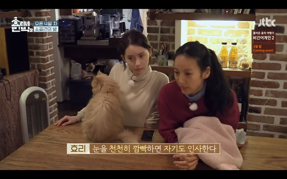 [효리네민박] 윤아와 눈인사 잘해주는 고양이 삼식이ㅠㅠ.gif | 인스티즈