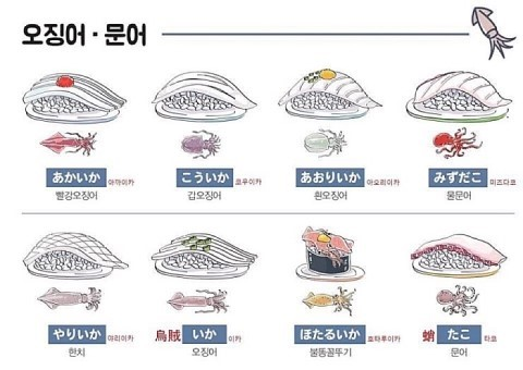 스시 종류별 일본어 이름 | 인스티즈