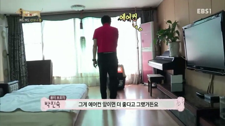 [세나개] 강형욱 훈련사의 팬인 봄이의 보호자들.jpg | 인스티즈
