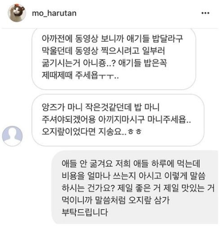 잉스타 유명고양이집사들이 받는 DM | 인스티즈