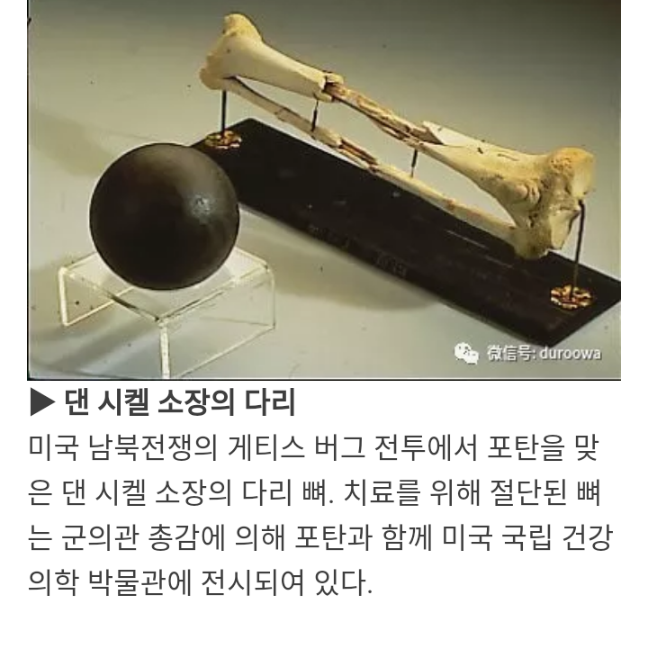 위인들의 남아있는 신체 일부 | 인스티즈