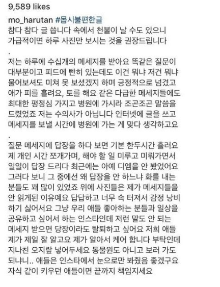 잉스타 유명고양이집사들이 받는 DM | 인스티즈