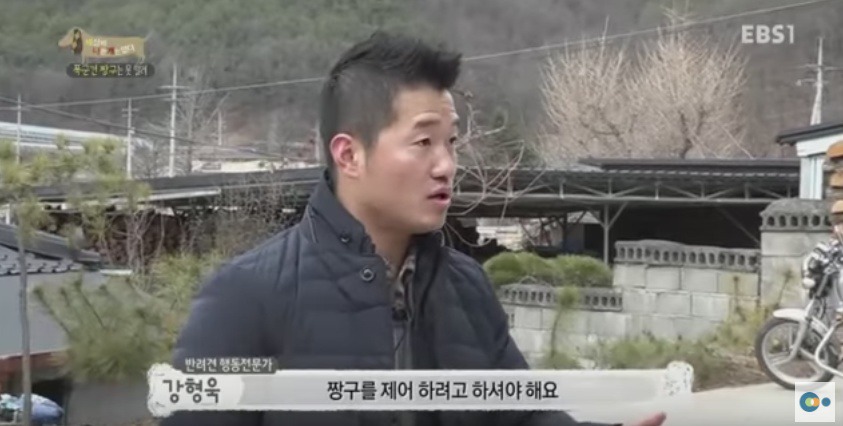 관리 못하겠으면 키우지도 마라 | 인스티즈