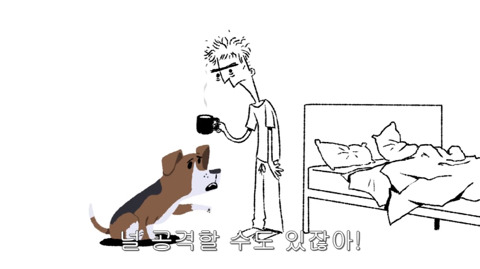 [동물] 만약 개들이 사과할 수 있다면? | 인스티즈