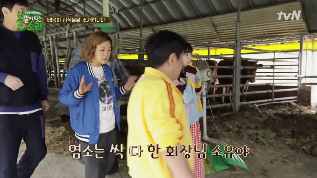 [풀뜯어먹는소리] 닭에서 시작해 소까지 살 수 있게 된 중딩농부 태웅.jpg | 인스티즈