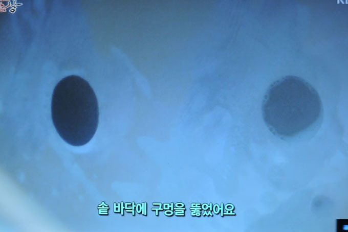 평창두부 이미지