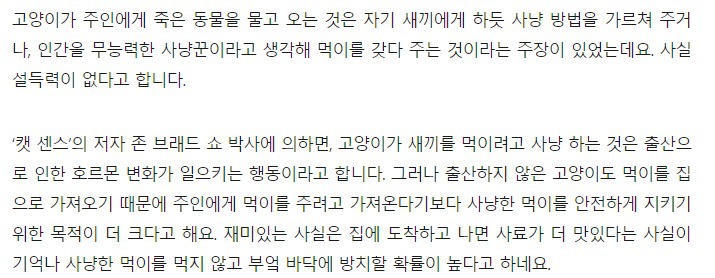 고양이가 사냥한 동물을 주인에게 주는 것은 | 인스티즈