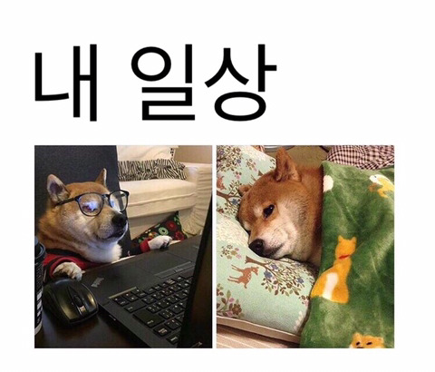 사람 사는 건 어디나 똑같다. 미국 짤 번역 | 인스티즈