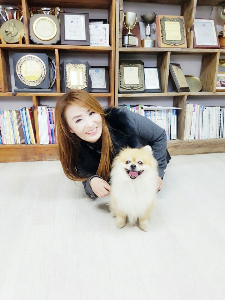 고고코리아 이미지