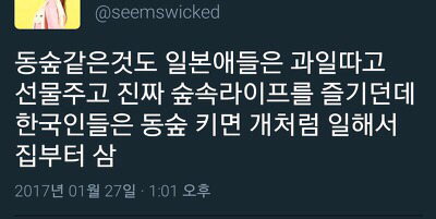 동물의 숲 할때 일본인과 한국인의 차이 | 인스티즈