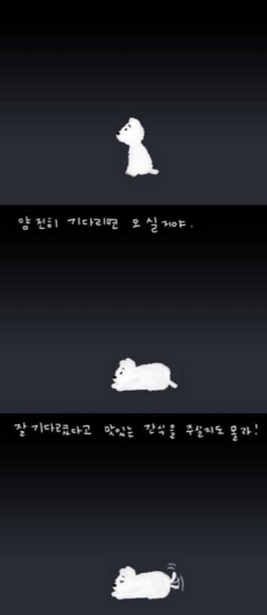 버림받은 강아지의 마음 | 인스티즈