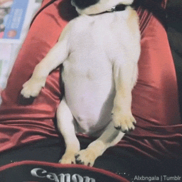 자신이 로또1등에 당첨된다면 | 인스티즈